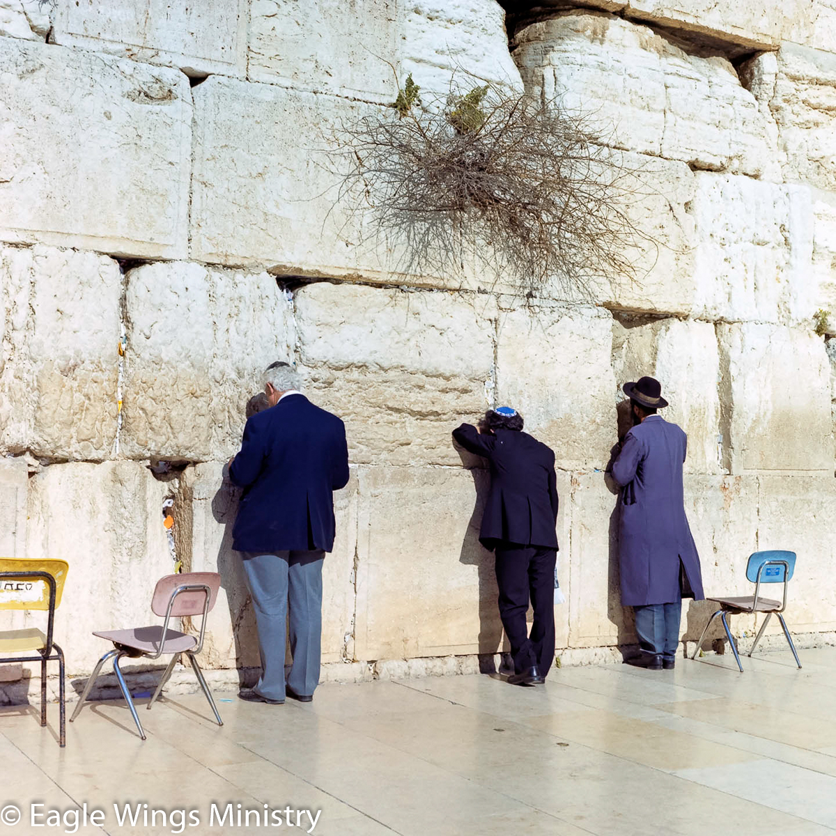 Prayer at the Wesern Wall of the Temple Mount