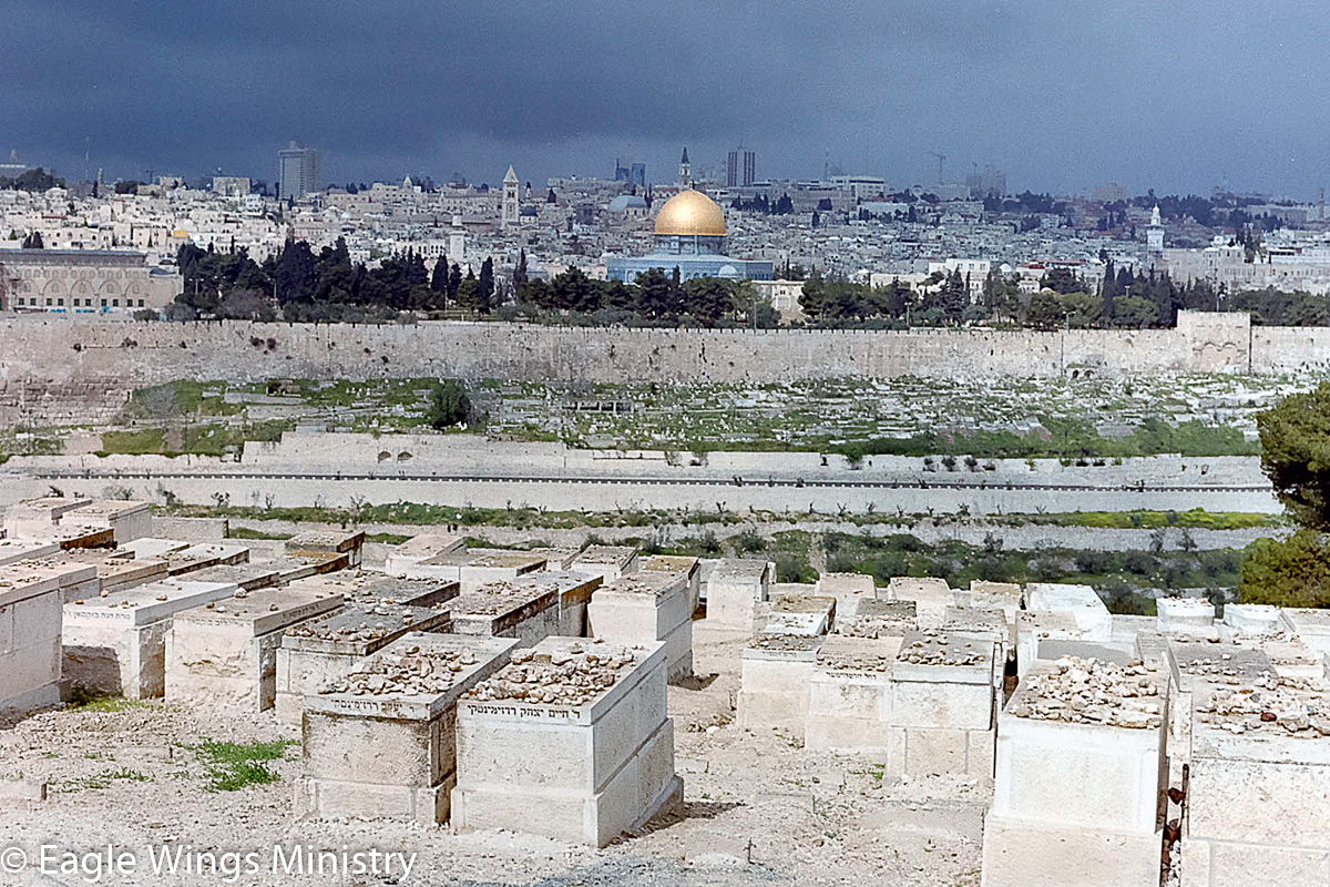 Temple Mount View from the Mount of Olives